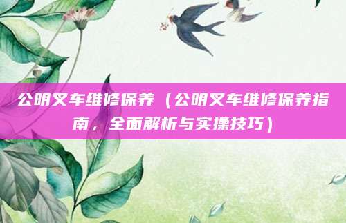 公明叉车维修保养（公明叉车维修保养指南，全面解析与实操技巧）