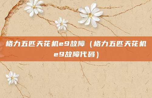 格力五匹天花机e9故障（格力五匹天花机e9故障代码）