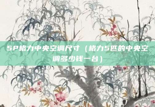 5P格力中央空调尺寸（格力5匹的中央空调多少钱一台）