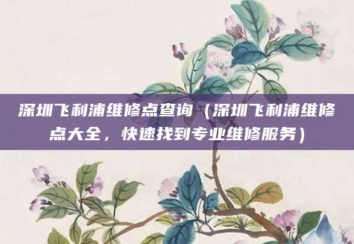 深圳飞利浦维修点查询（深圳飞利浦维修点大全，快速找到专业维修服务）