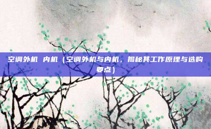 空调外机 内机（空调外机与内机，揭秘其工作原理与选购要点）