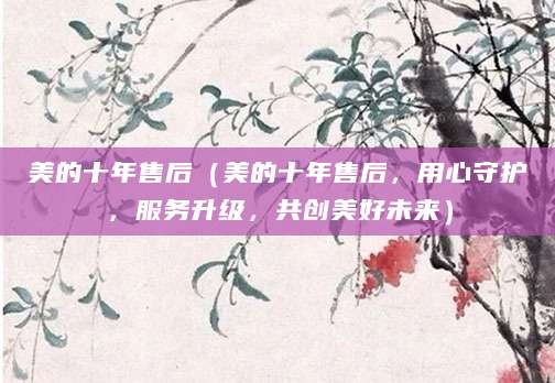 美的十年售后（美的十年售后，用心守护，服务升级，共创美好未来）
