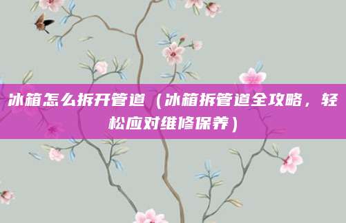 冰箱怎么拆开管道（冰箱拆管道全攻略，轻松应对维修保养）