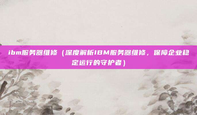 ibm服务器维修（深度解析IBM服务器维修，保障企业稳定运行的守护者）