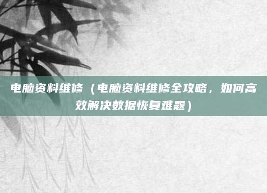 电脑资料维修（电脑资料维修全攻略，如何高效解决数据恢复难题）