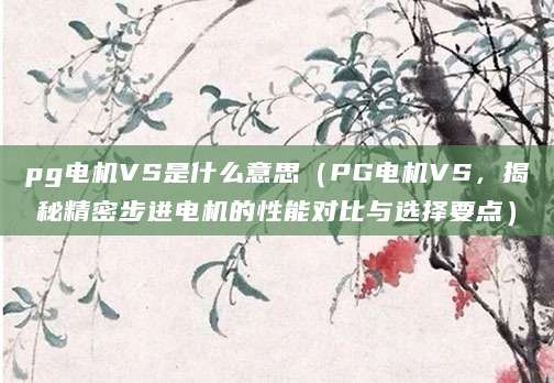pg电机VS是什么意思（PG电机VS，揭秘精密步进电机的性能对比与选择要点）