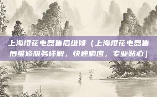 上海樱花电器售后维修（上海樱花电器售后维修服务详解，快速响应，专业贴心）