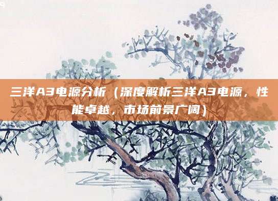 三洋A3电源分析（深度解析三洋A3电源，性能卓越，市场前景广阔）