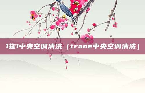 1拖1中央空调清洗（trane中央空调清洗）