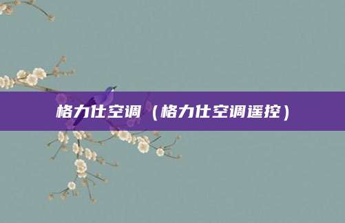 格力仕空调（格力仕空调遥控）