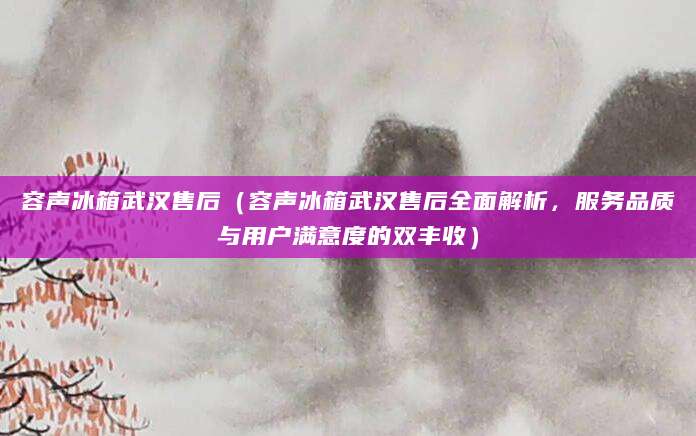容声冰箱武汉售后（容声冰箱武汉售后全面解析，服务品质与用户满意度的双丰收）