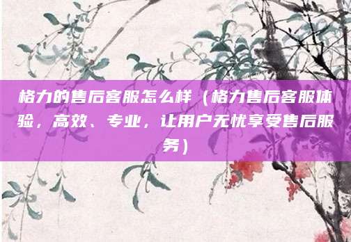 格力的售后客服怎么样（格力售后客服体验，高效、专业，让用户无忧享受售后服务）