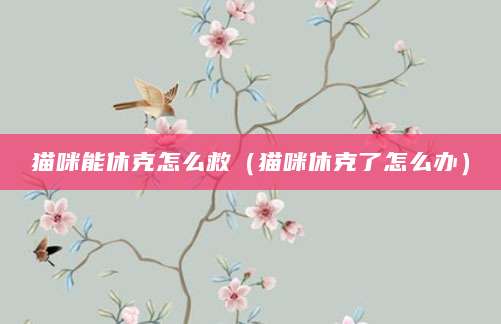 猫咪能休克怎么救（猫咪休克了怎么办）