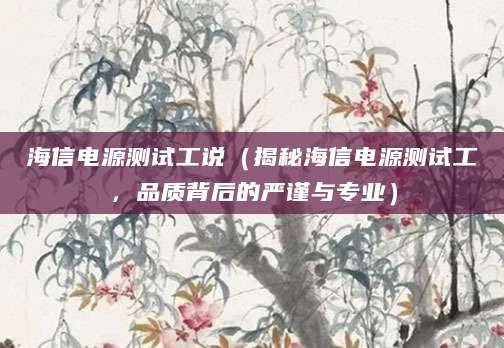海信电源测试工说（揭秘海信电源测试工，品质背后的严谨与专业）