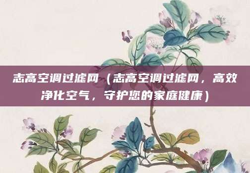 志高空调过滤网（志高空调过滤网，高效净化空气，守护您的家庭健康）