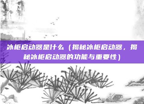 冰柜启动器是什么（揭秘冰柜启动器，揭秘冰柜启动器的功能与重要性）