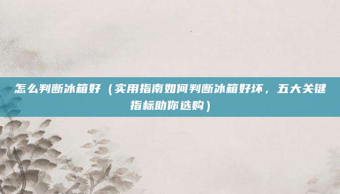 怎么判断冰箱好（实用指南如何判断冰箱好坏，五大关键指标助你选购）