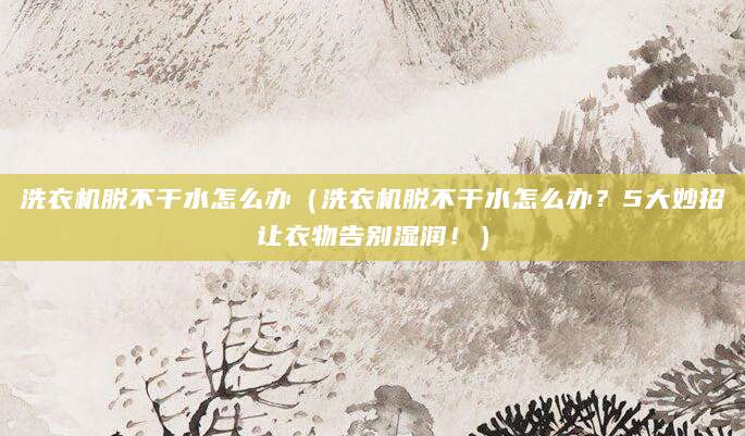 洗衣机脱不干水怎么办（洗衣机脱不干水怎么办？5大妙招让衣物告别湿润！）
