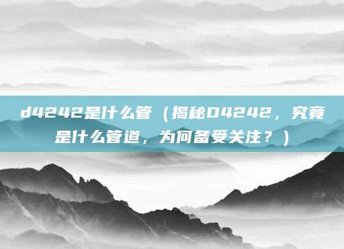 d4242是什么管（揭秘D4242，究竟是什么管道，为何备受关注？）