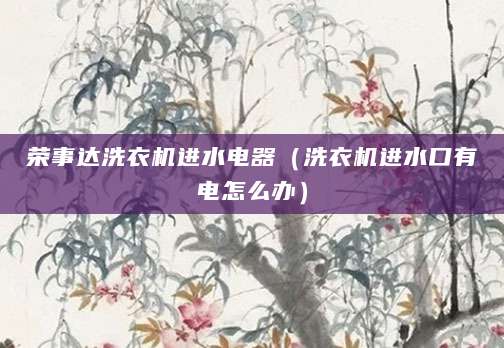 荣事达洗衣机进水电器（洗衣机进水口有电怎么办）