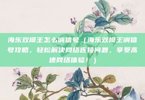 海乐双模王怎么调信号（海乐双模王调信号攻略，轻松解决网络连接问题，享受高速网络体验！）