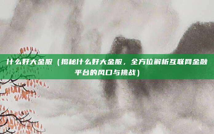 什么好大金服（揭秘什么好大金服，全方位解析互联网金融平台的风口与挑战）