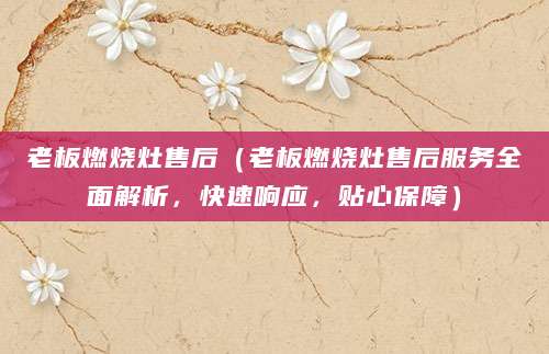 老板燃烧灶售后（老板燃烧灶售后服务全面解析，快速响应，贴心保障）