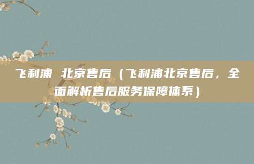飞利浦 北京售后（飞利浦北京售后，全面解析售后服务保障体系）