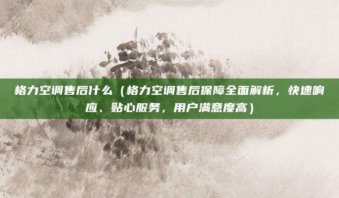 格力空调售后什么（格力空调售后保障全面解析，快速响应、贴心服务，用户满意度高）