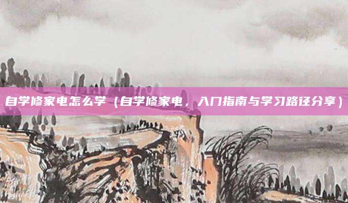 自学修家电怎么学（自学修家电，入门指南与学习路径分享）