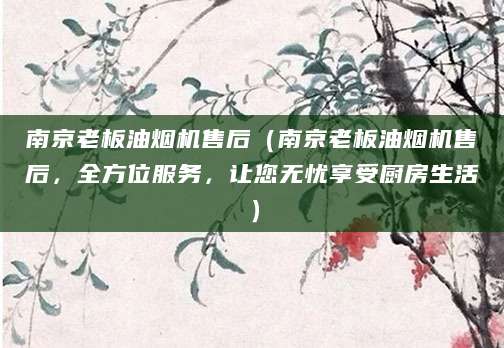 南京老板油烟机售后（南京老板油烟机售后，全方位服务，让您无忧享受厨房生活）