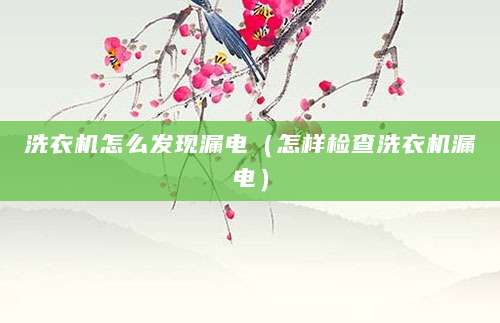洗衣机怎么发现漏电（怎样检查洗衣机漏电）