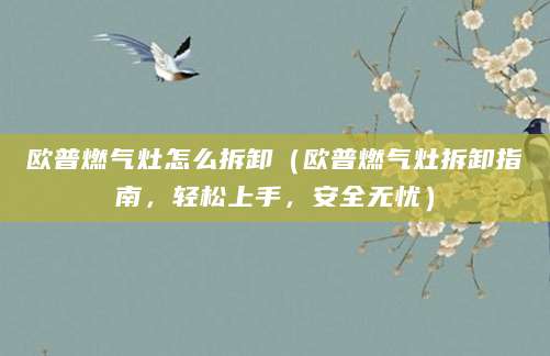 欧普燃气灶怎么拆卸（欧普燃气灶拆卸指南，轻松上手，安全无忧）