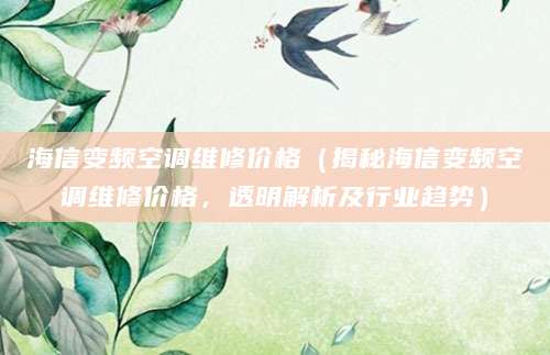 海信变频空调维修价格（揭秘海信变频空调维修价格，透明解析及行业趋势）