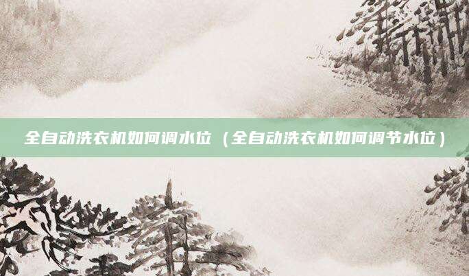 全自动洗衣机如何调水位（全自动洗衣机如何调节水位）