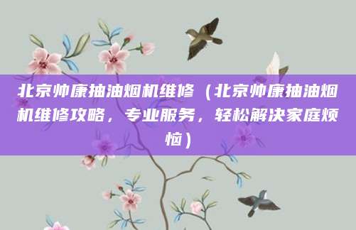 北京帅康抽油烟机维修（北京帅康抽油烟机维修攻略，专业服务，轻松解决家庭烦恼）