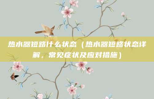 热水器短路什么状态（热水器短路状态详解，常见症状及应对措施）