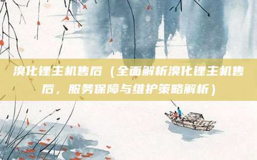 溴化锂主机售后（全面解析溴化锂主机售后，服务保障与维护策略解析）