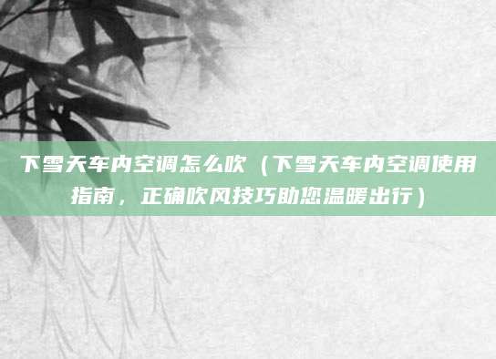 下雪天车内空调怎么吹（下雪天车内空调使用指南，正确吹风技巧助您温暖出行）