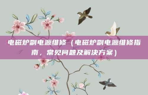 电磁炉副电源维修(电磁炉副电源维修指南,常见问题及解决方案)