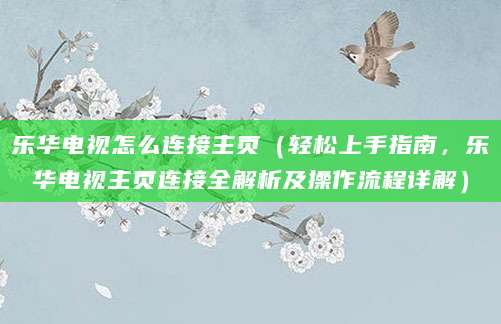 乐华电视怎么连接主页(轻松上手指南,乐华电视主页连接全解析及操作流程详解)