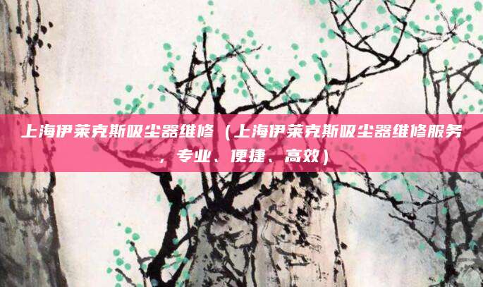 上海伊莱克斯吸尘器维修（上海伊莱克斯吸尘器维修服务，专业、便捷、高效）