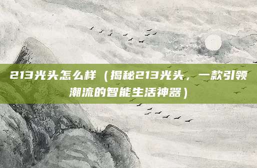 213光头怎么样（揭秘213光头，一款引领潮流的智能生活神器）