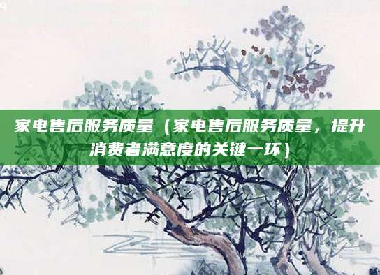 家电售后服务质量（家电售后服务质量，提升消费者满意度的关键一环）