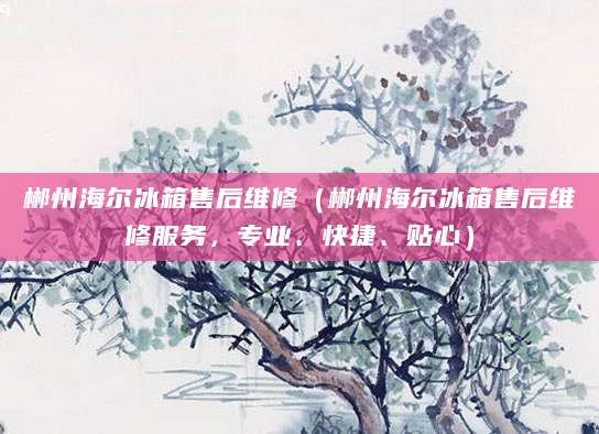 郴州海尔冰箱售后维修（郴州海尔冰箱售后维修服务，专业、快捷、贴心）