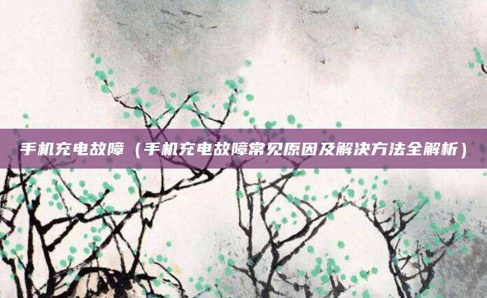 手机充电故障（手机充电故障常见原因及解决方法全解析）