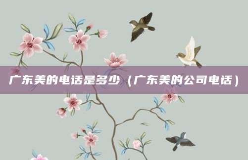 广东美的电话是多少（广东美的公司电话）
