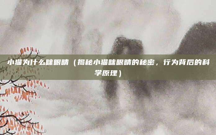 小猫为什么眯眼睛（揭秘小猫眯眼睛的秘密，行为背后的科学原理）