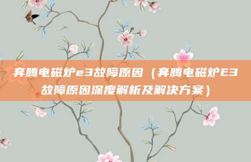奔腾电磁炉e3故障原因（奔腾电磁炉E3故障原因深度解析及解决方案）