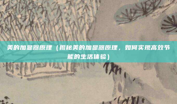 美的加显器原理（揭秘美的加显器原理，如何实现高效节能的生活体验）